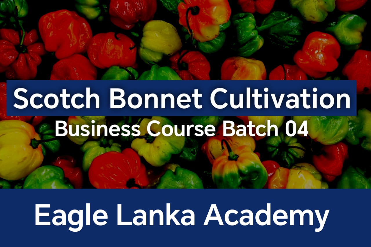 Scotch bonnet cultivation business course Batch 04